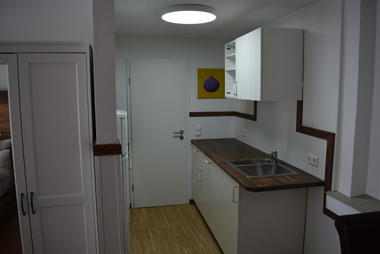 Apartments Mit Klimaanlage Am Neckarufer, Schoene Aussicht บาดฟีดริชส์ฮัลล์ ภายนอก รูปภาพ